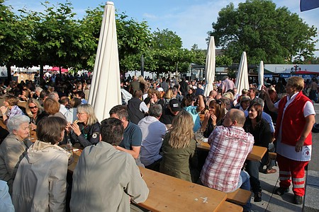 Brunnenfest 2011